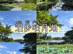 -映月湖公园