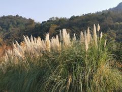 -贵阳市花溪国家城市湿地公园