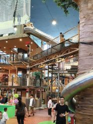 点击看大图 -卡通尼·Safari非洲探索乐园·生日会(金桥国际商业广场店)