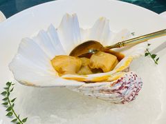 -甄御•海鲜新青岛菜(麦岛店)