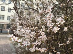 -黑龙江大学