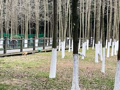 -艾溪湖湿地公园