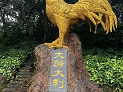 -海口火山口国家地质公园