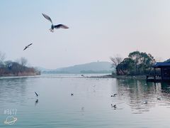 -渤公岛生态公园