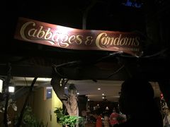 -卷心菜和避孕套餐厅(Pattaya)