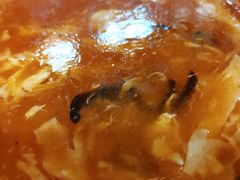 -草包包子铺(宽厚里店)