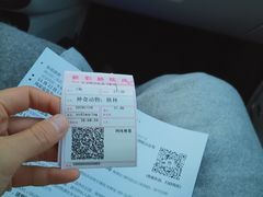 -枫花园汽车电影院(朝阳公园店)