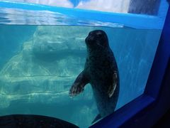 -多彩贵州城极地海洋世界