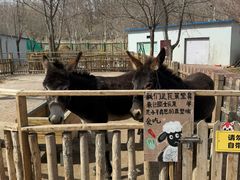 -水上乐园·欢乐世界