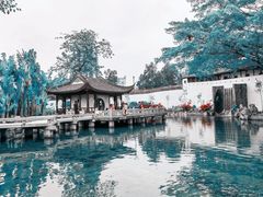 -九龙寨城公园