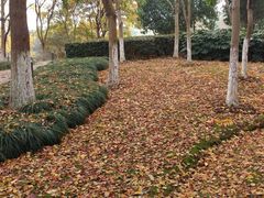 -白塘生态植物园