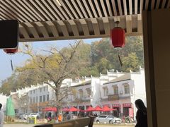 -千年银杏谷文化旅游区