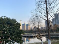-洋湖国家湿地公园
