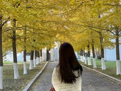 -辽宁大学(崇山校区)