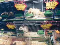 -南京时尚莱迪购物广场(正洪街店)