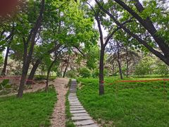 -元大都城垣遗址公园