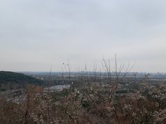 -上海佘山国家森林公园西佘山园