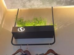 -华夏良子·足道SPA艾灸(王府井店)