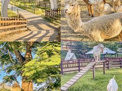 -盈香心动乐园