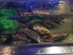 -V-ONE西雅图海鲜自助餐厅(仓山万达广场店)