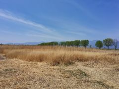 -野鸭湖国家湿地公园