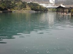 -大罗山风景区