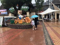 -苏州乐园森林水世界