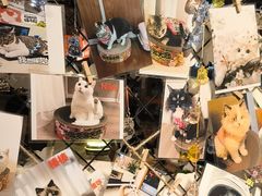 -猫抓烤肉(春熙路店)