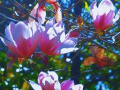 -福州大学(旗山校区)