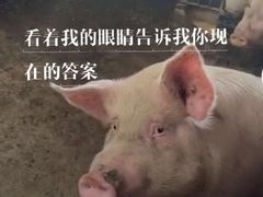 -北疆饭店(吴江店)