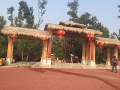 -北海金海湾红树林生态旅游区