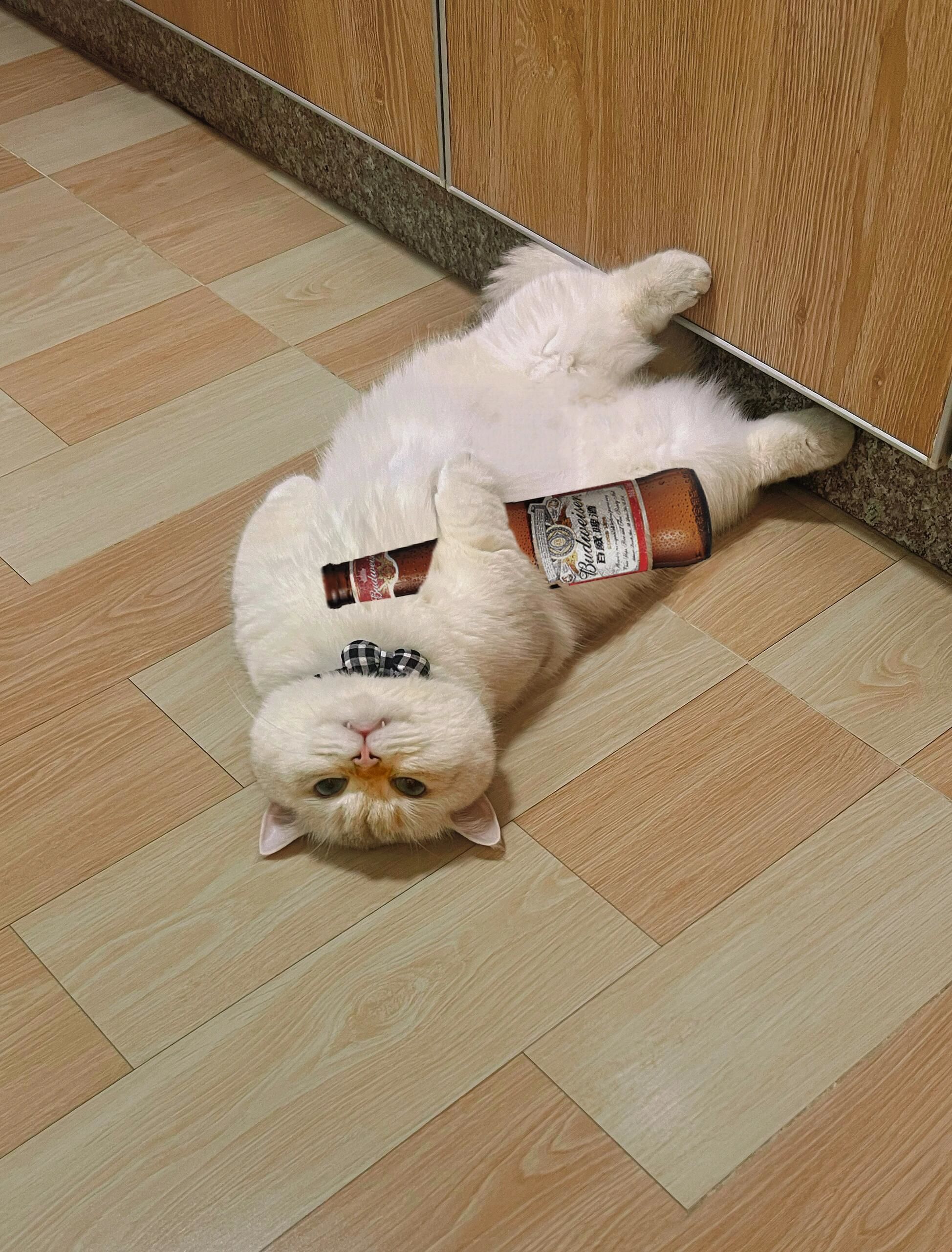 谁能有这么大的啤酒肚