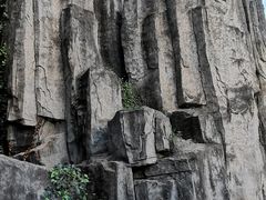 -长虫山生态公园风景林
