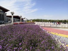 -敦煌莫高国际机场