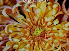 -杭州植物园
