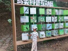 -上海佘山国家森林公园天马山园