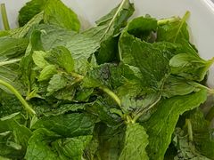 -鸽鸟轩(石岐店)