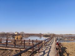 -西青郊野公园