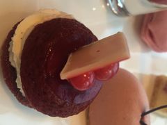 华尔道夫酒店廊吧-LONG BAR 廊吧(外滩华尔道夫酒店)