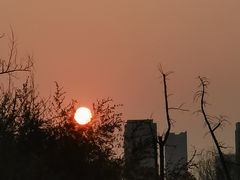 -白塘生态植物园