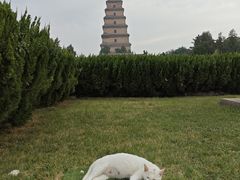 -西安大雁塔科技大学地铁站亚朵酒店