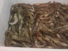 大虾-春华海鲜城(广场西苑店)