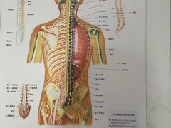 -张钰强中医正骨推拿连锁(华发商都店)