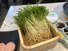 -阳坊胜利涮羊肉(阳坊总店)