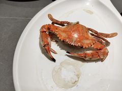 -神洲四海大酒楼(王府井澳门中心店)