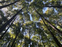 -山王坪喀斯特国家生态公园
