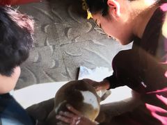 -瑞派雷欧宠物医院·24h夜诊·心脏骨科牙科·全科重症转诊中心(无影山店)