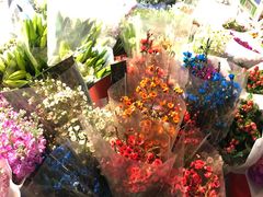 -循礼门鲜花花市(武汉循礼门店)