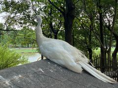 -宁波杭州湾国家湿地公园