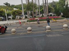 -红花山公园